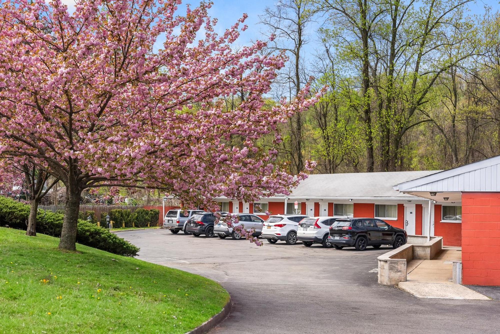 Ardsley Acres Hotel Court Exterior photo